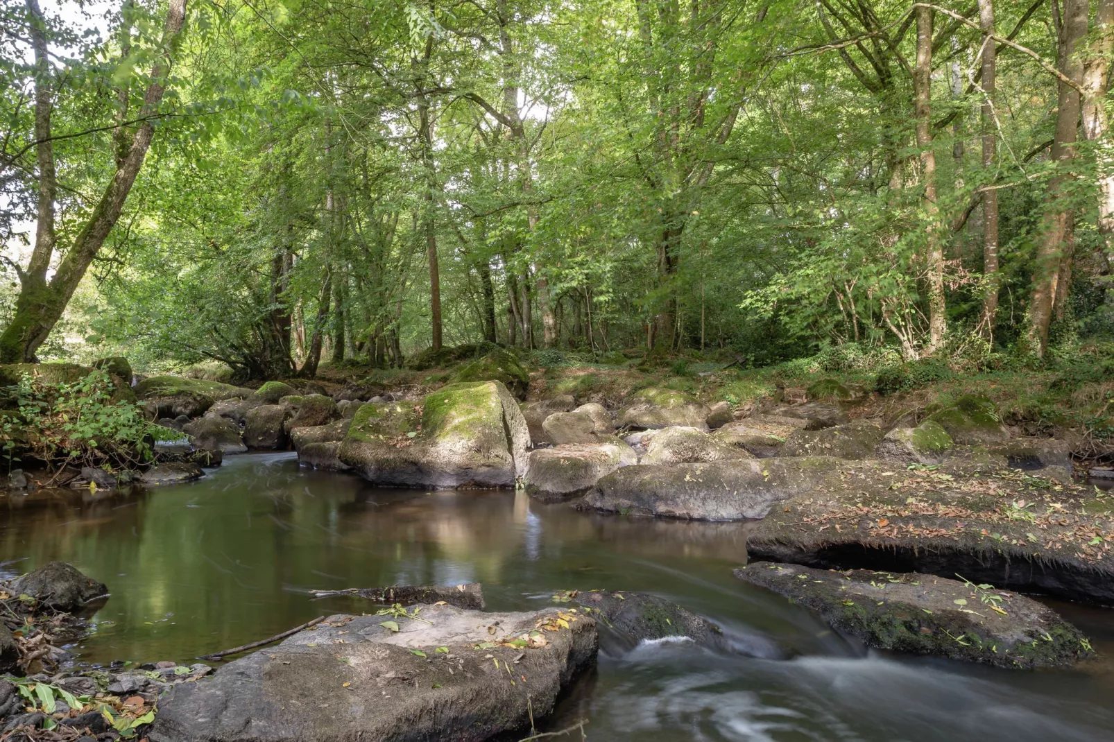 Jolie maison en pays de Rance-Zones d'été à 1 km