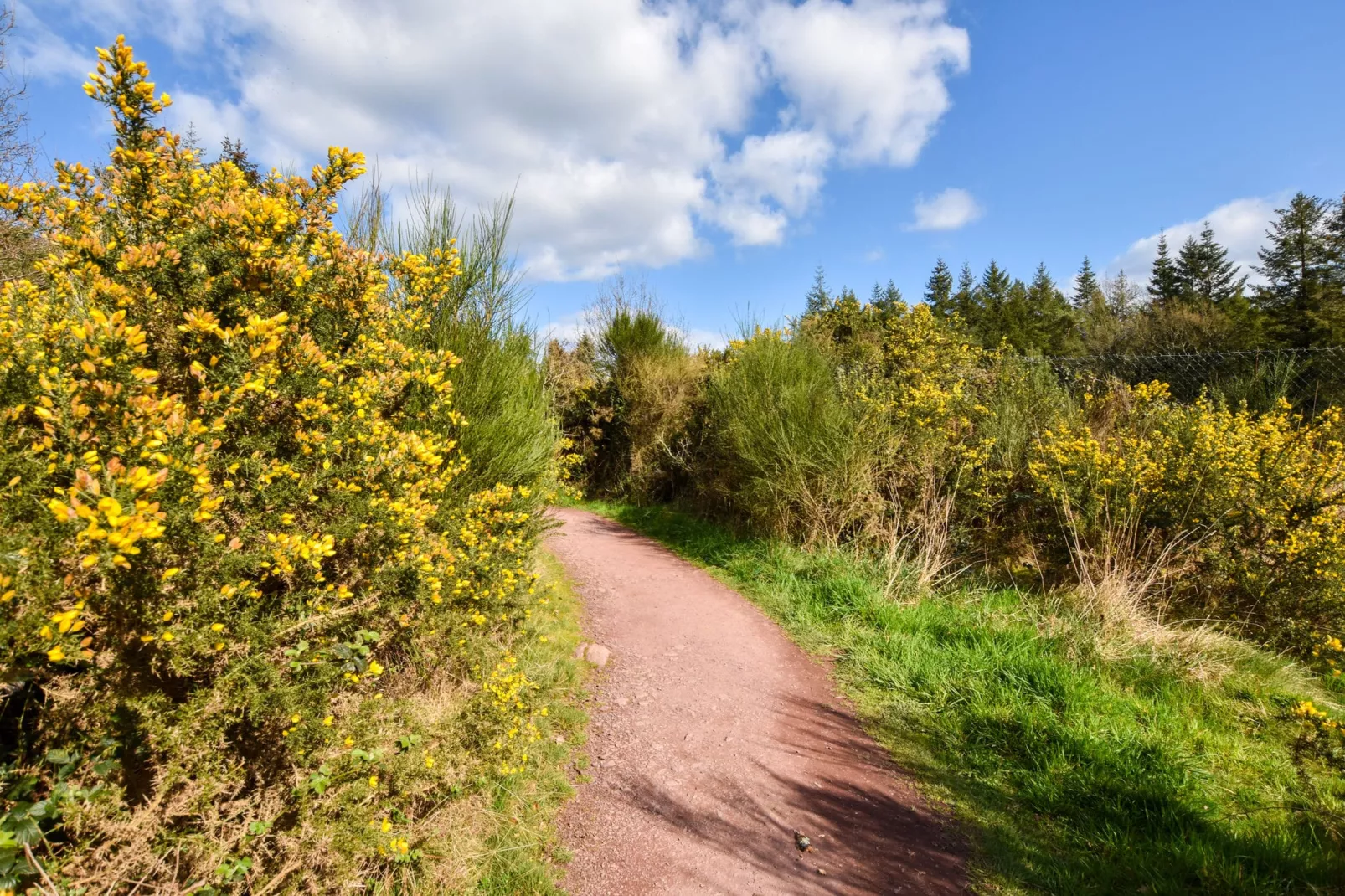 Jolie maison en pays de Rance-Zones d'été à 5 km
