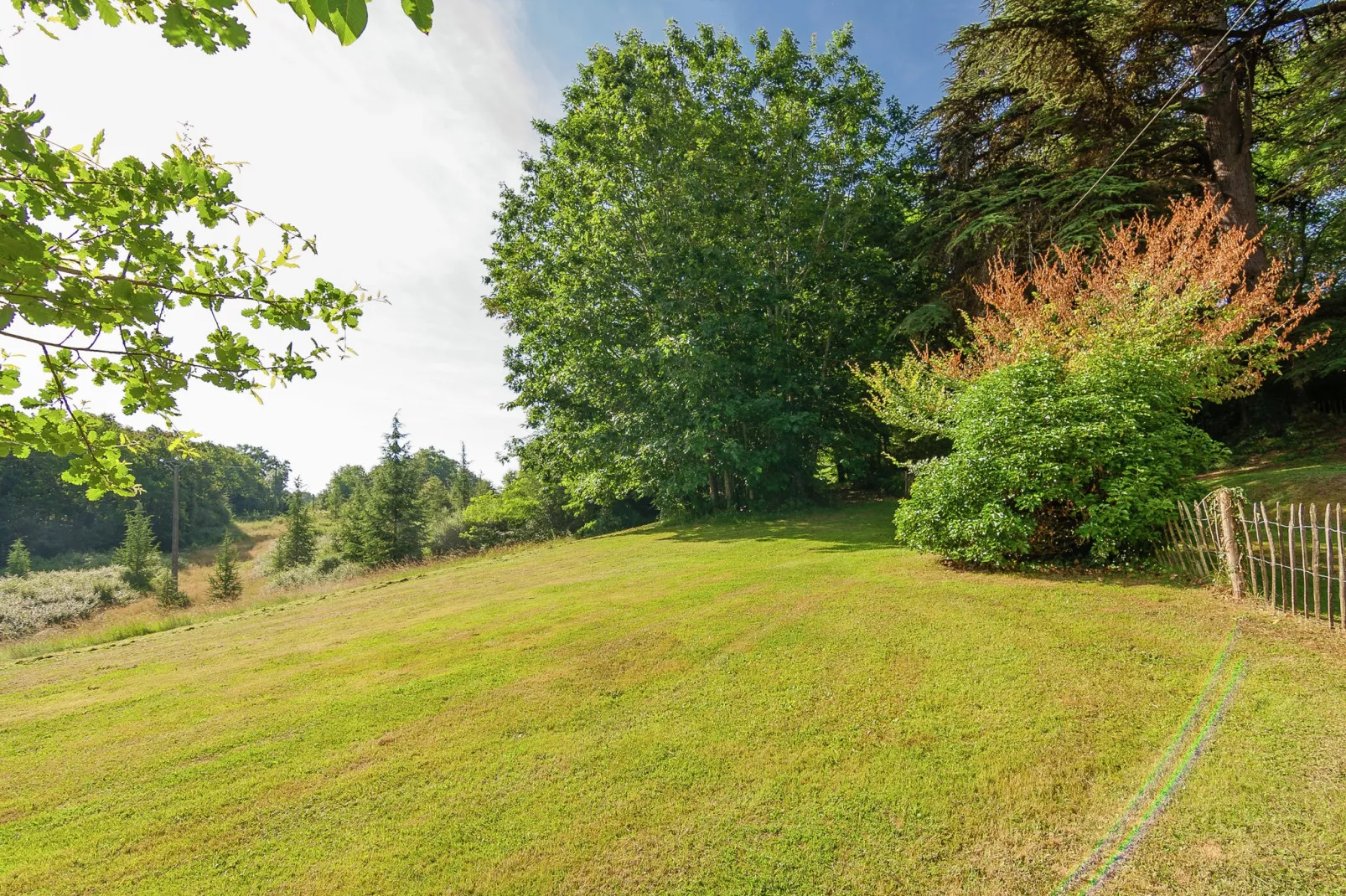 Bos de Penit-View summer