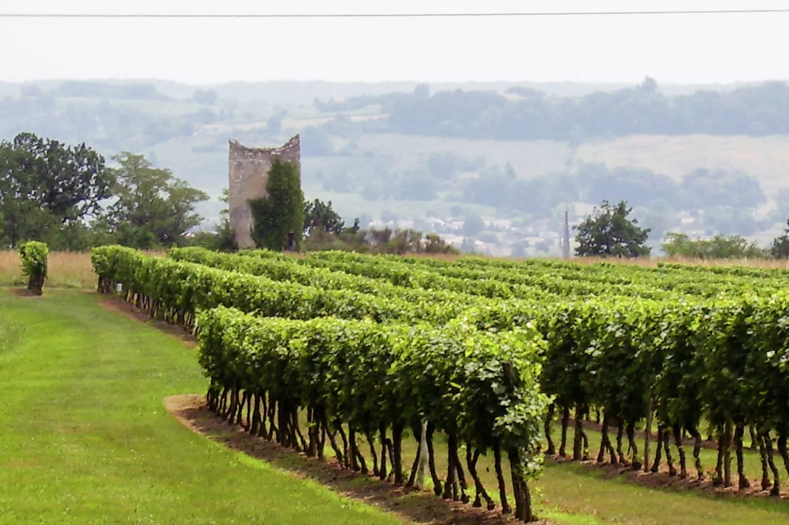 Le Caillauda-Areas summer 5km