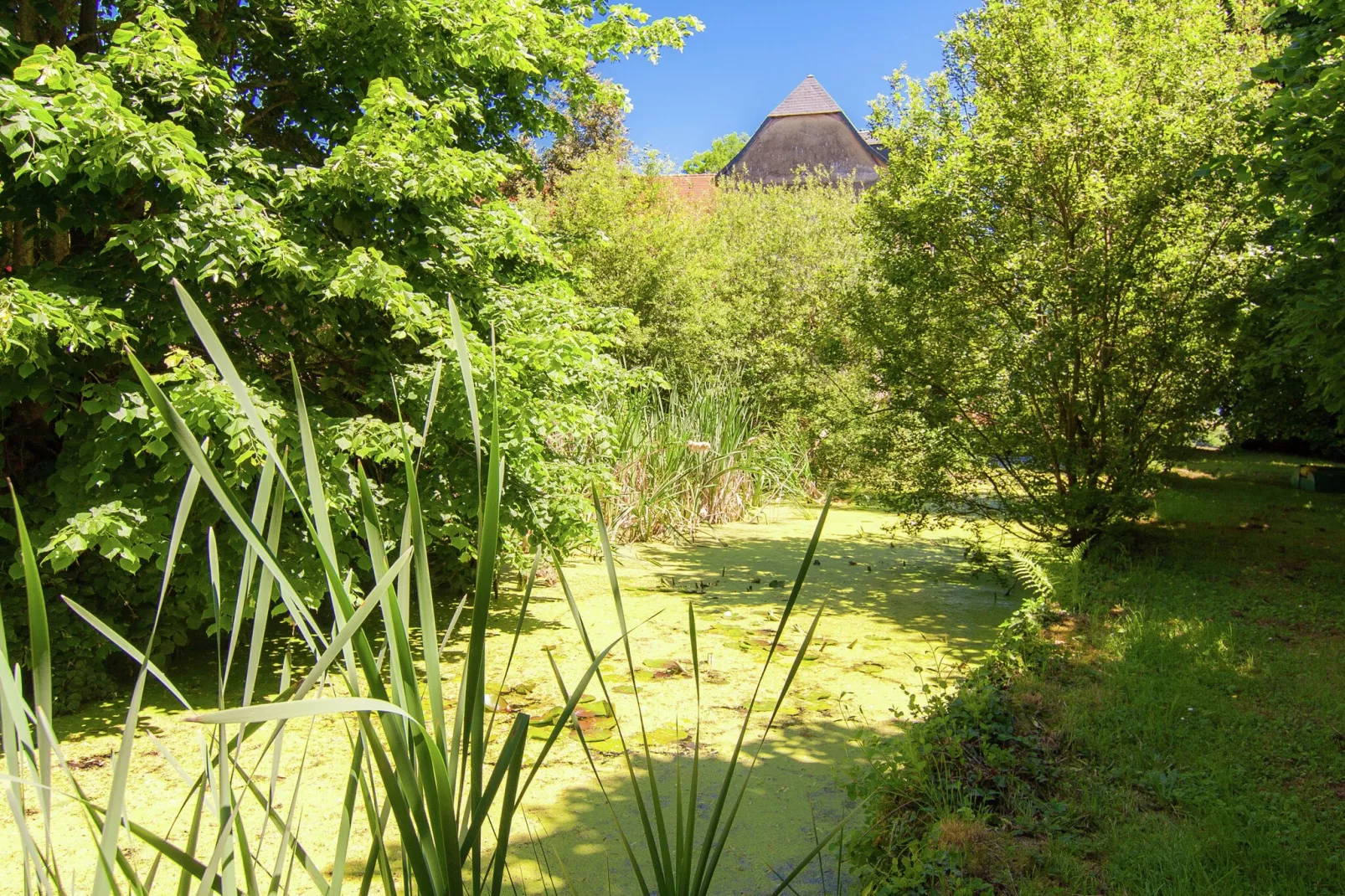 Un Manoir en Dordogne-Gardens summer