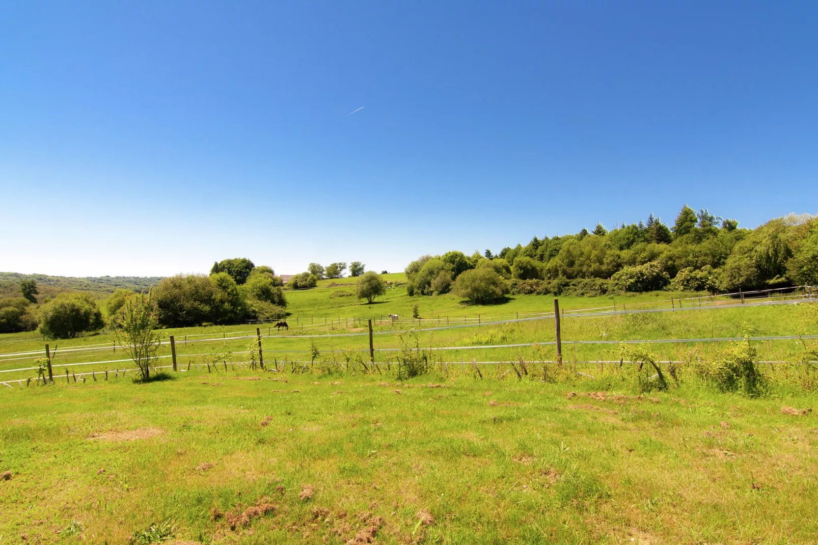 Un Manoir en Dordogne-Areas summer 1km