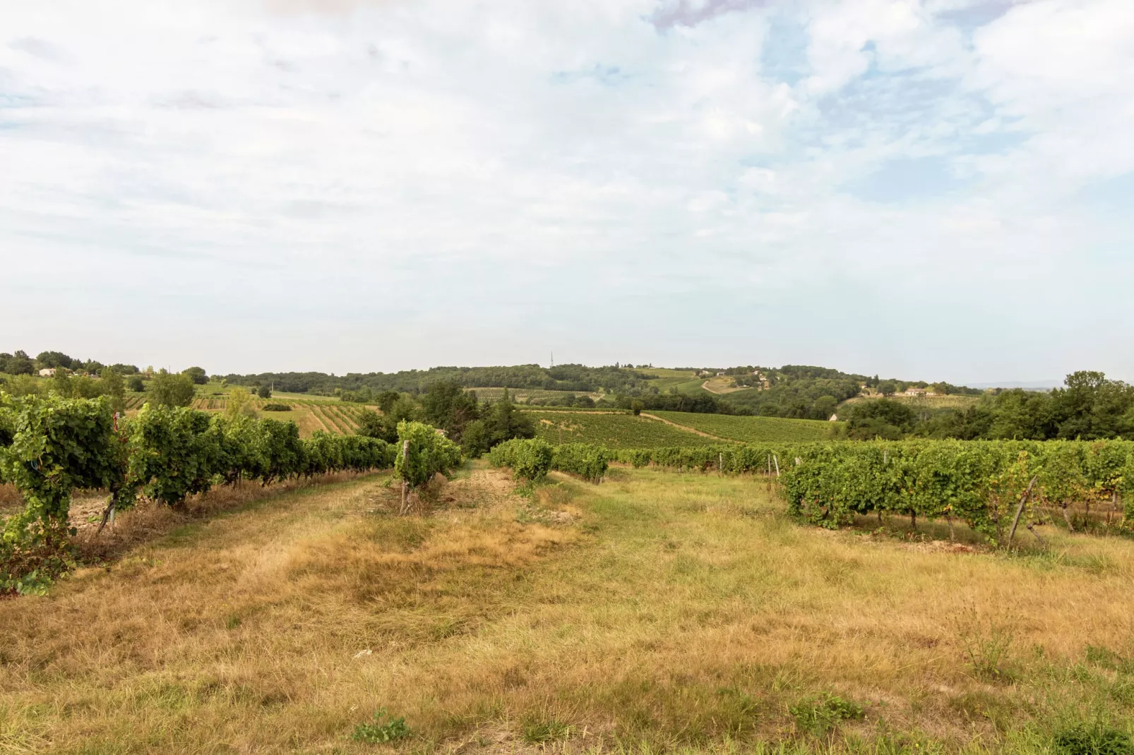 Pierre Blanche-Areas summer 1km