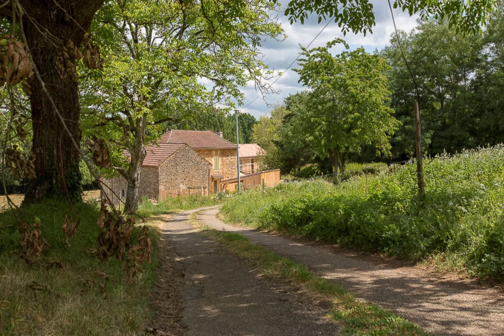 Le petit Nichoir-Außenbereich Sommer