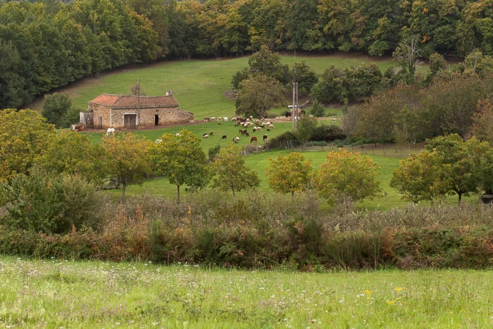 Le petit Nichoir-Aussicht Sommer
