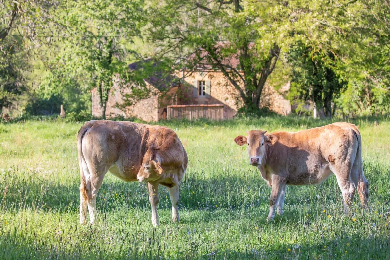 Le petit Nichoir-Gebiete Sommer 1 km