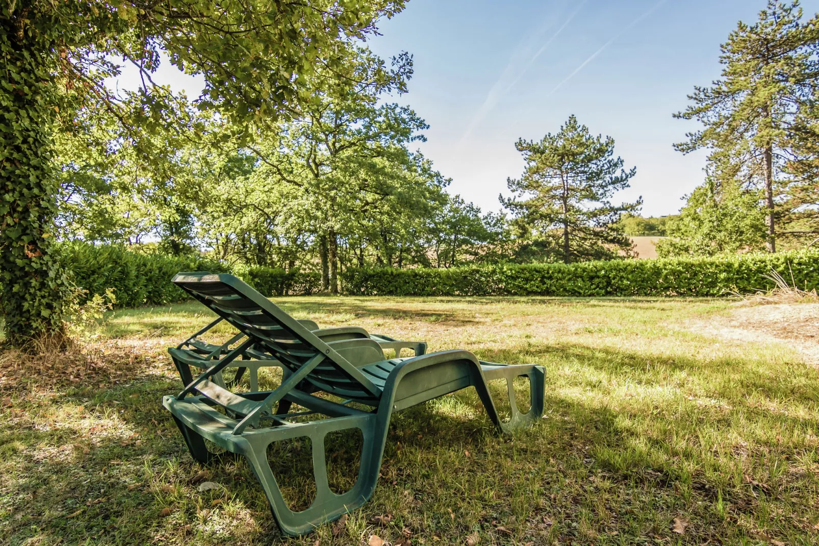 Salignac-Gardens summer
