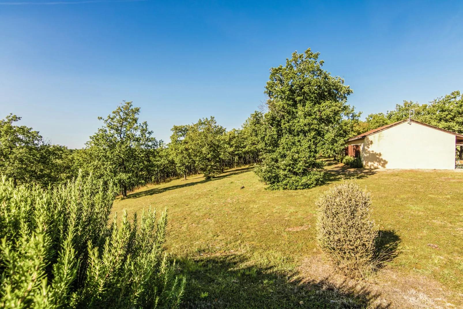 Salignac-Gardens summer