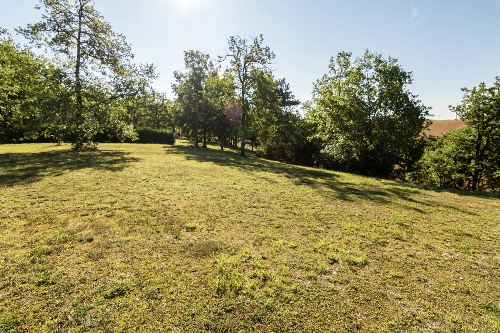 Salignac-Gardens summer