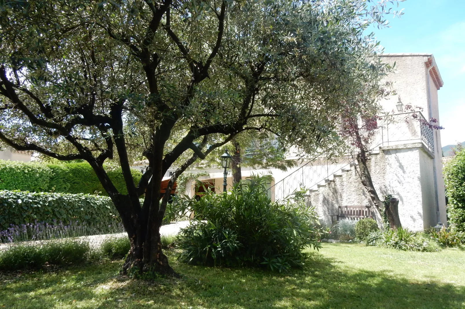Villa Enniroc-Gardens summer