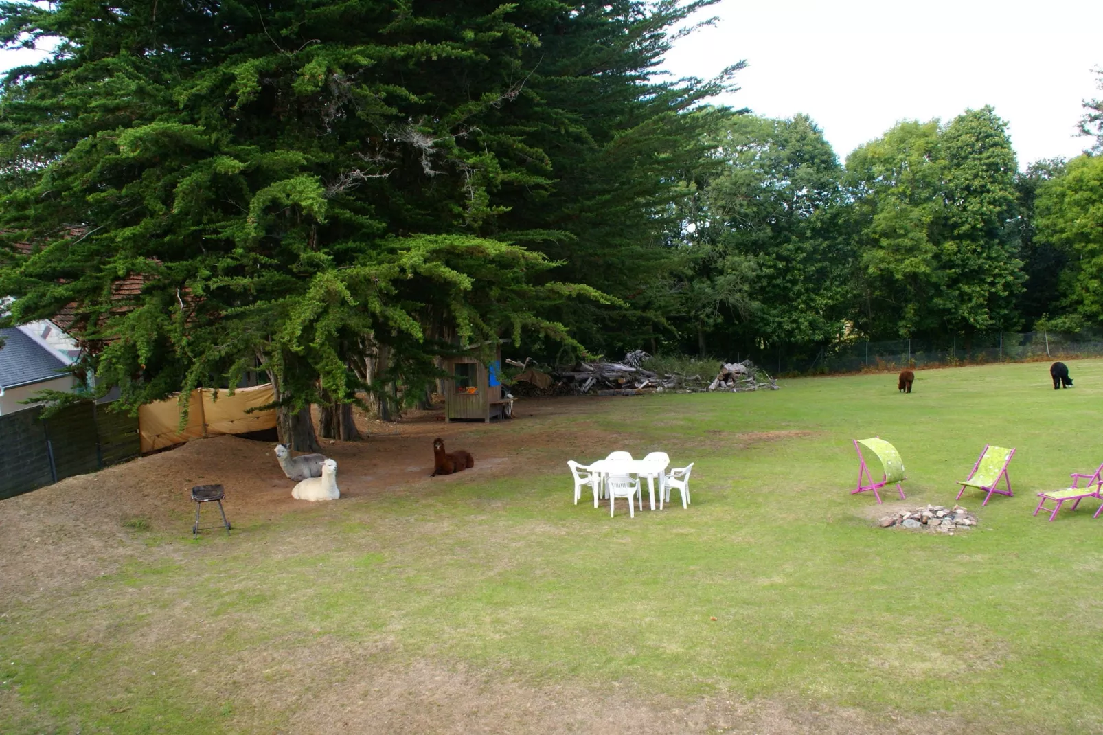 Maison mitoyenne dans un parc animalier proche mer-Gardens summer