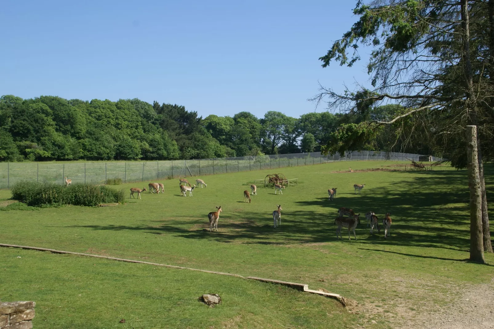 Maison mitoyenne dans un parc animalier proche mer-Areas summer 1km