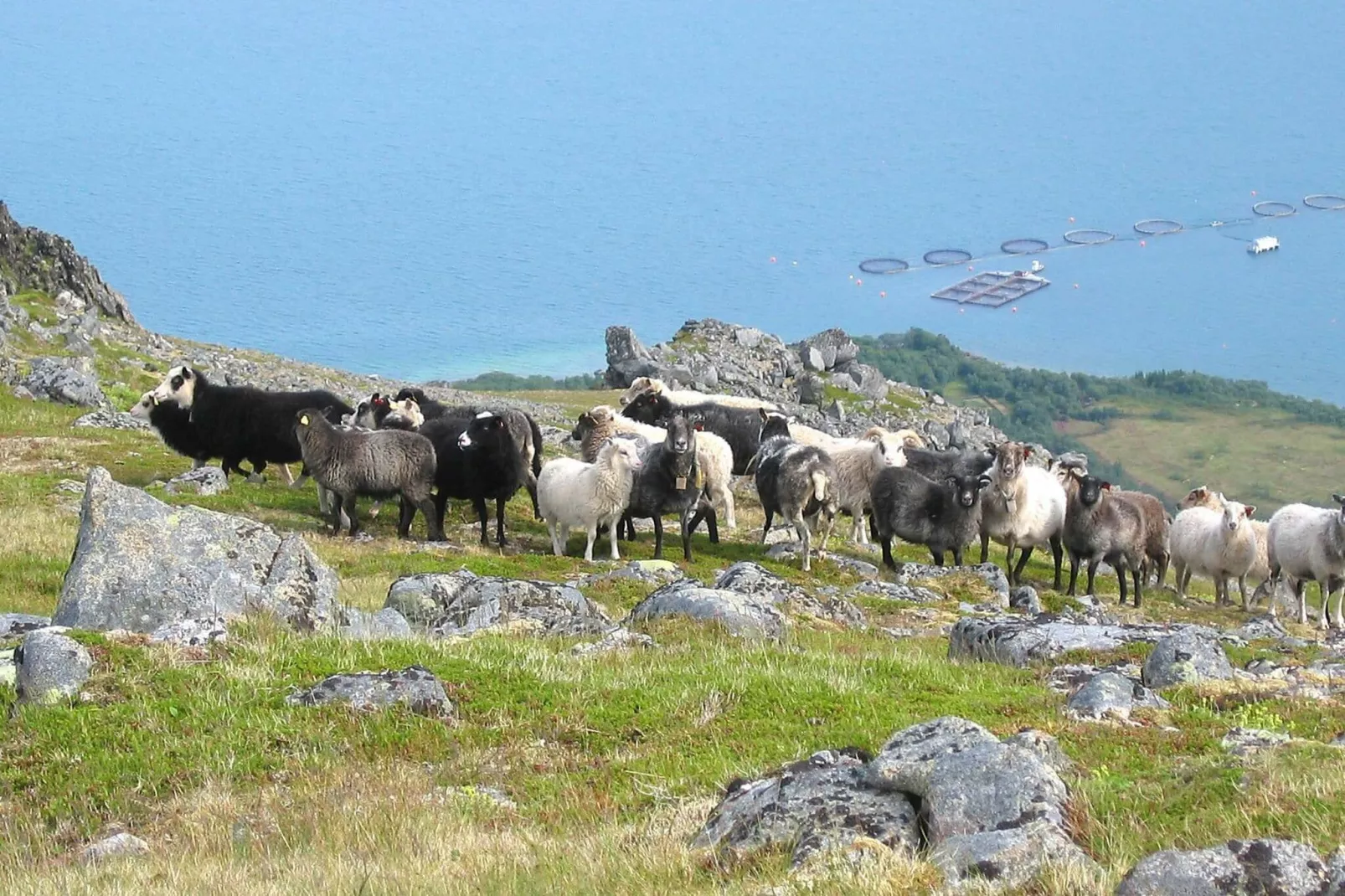 6 person holiday home in ALSVÅG-By Traum-View