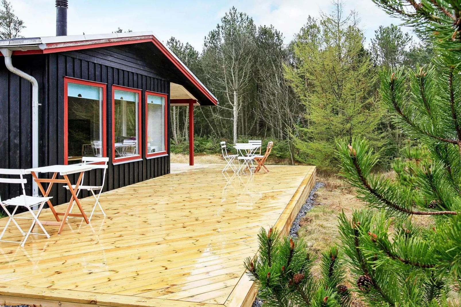 6 Personen Ferienhaus in Ålbæk-By Traum