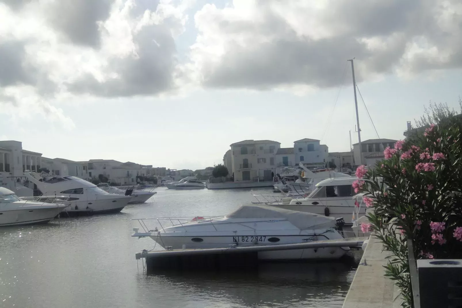 Au bord de l'eau-View in summer