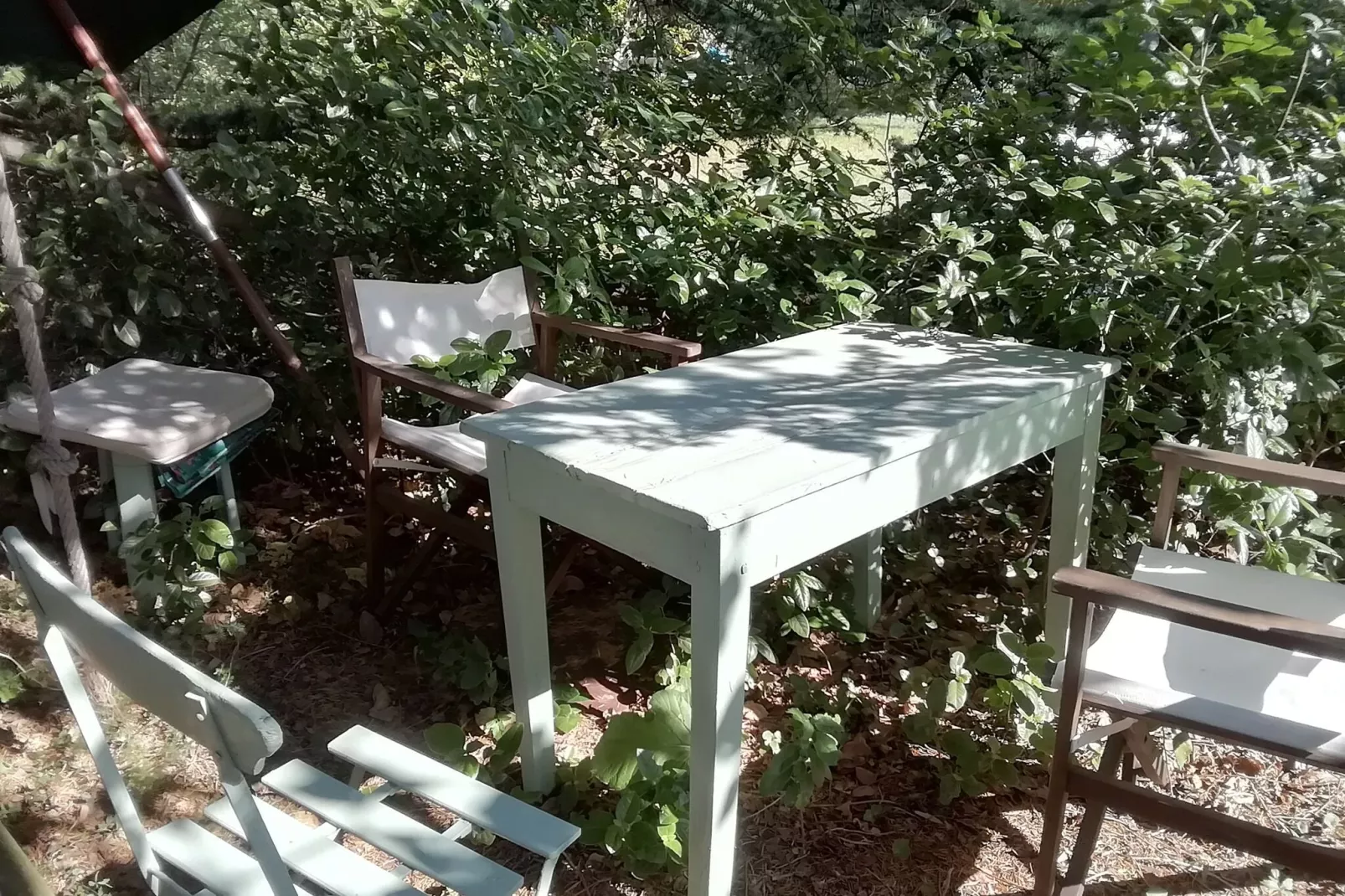 Maison de vacances - VILLENEUVE-LES-AVIGNON - Gardens in summer