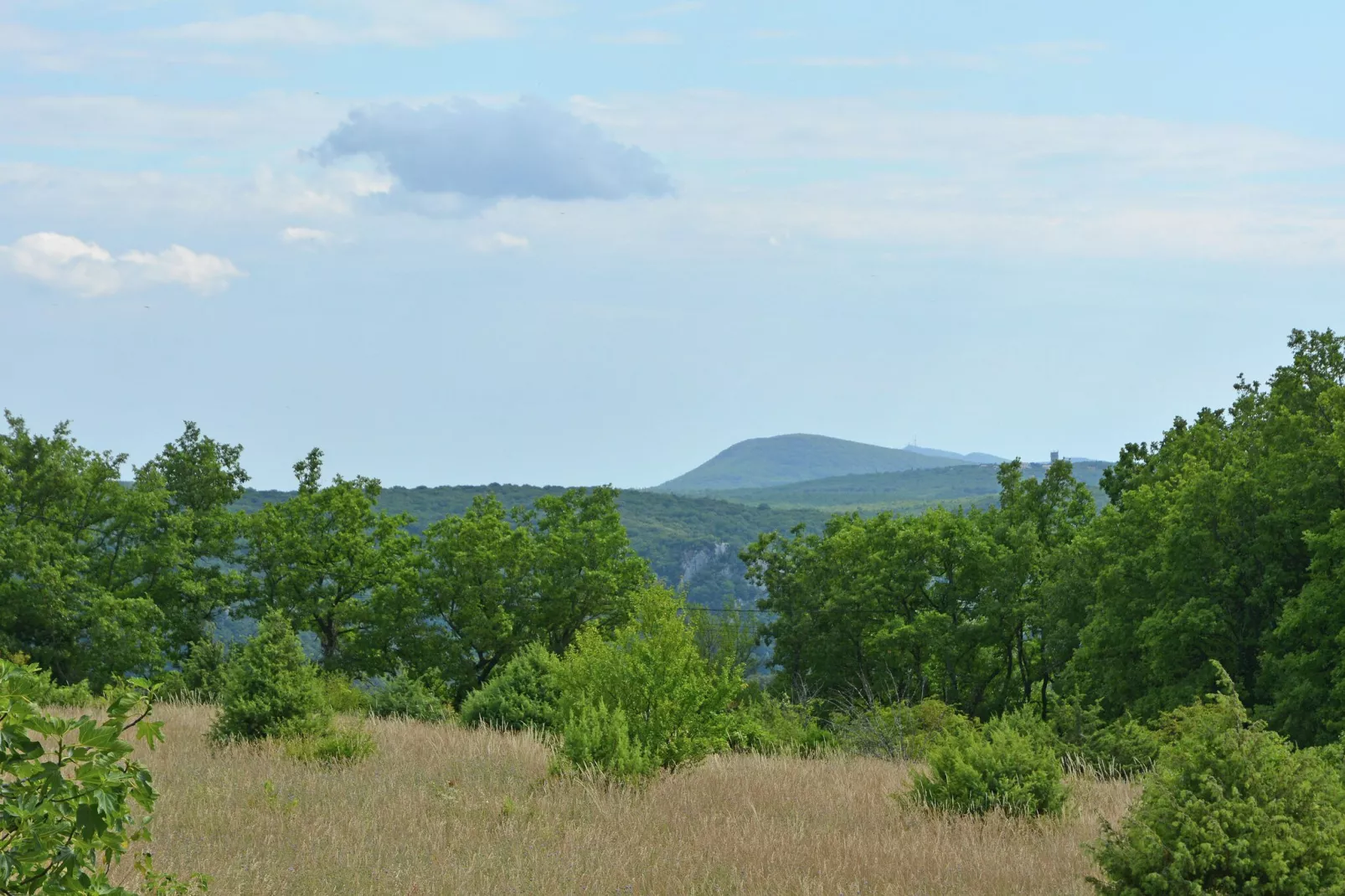 Le Chêne-Areas summer 1km