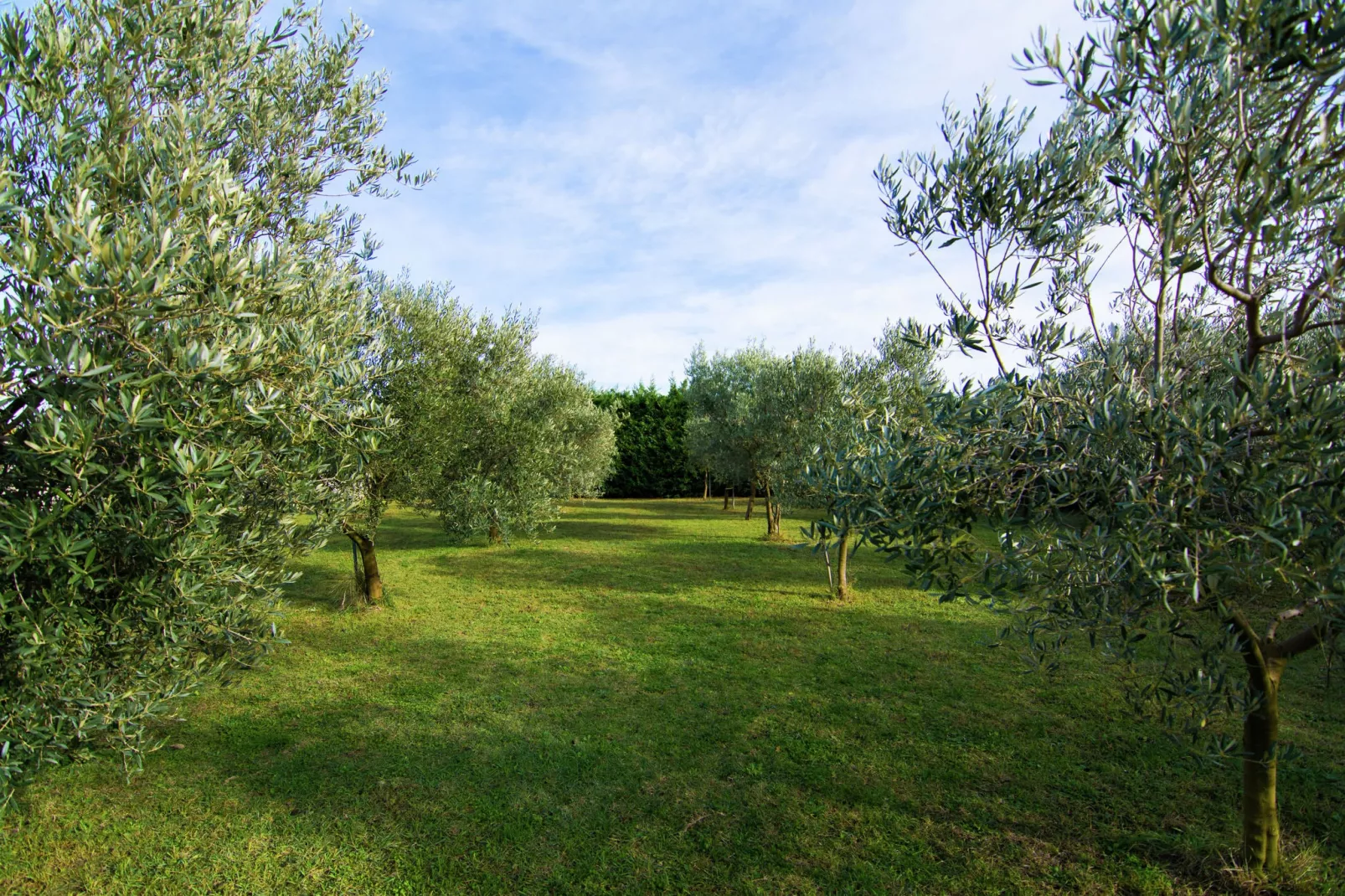 Maison de vacances - MONTFRIN-Gebiete Sommer 1 km