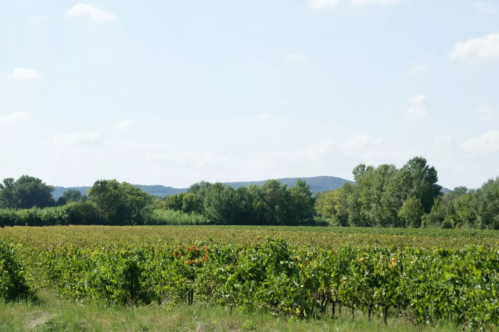 Maison de vacances - MONTFRIN-Gebiete Sommer 5 km
