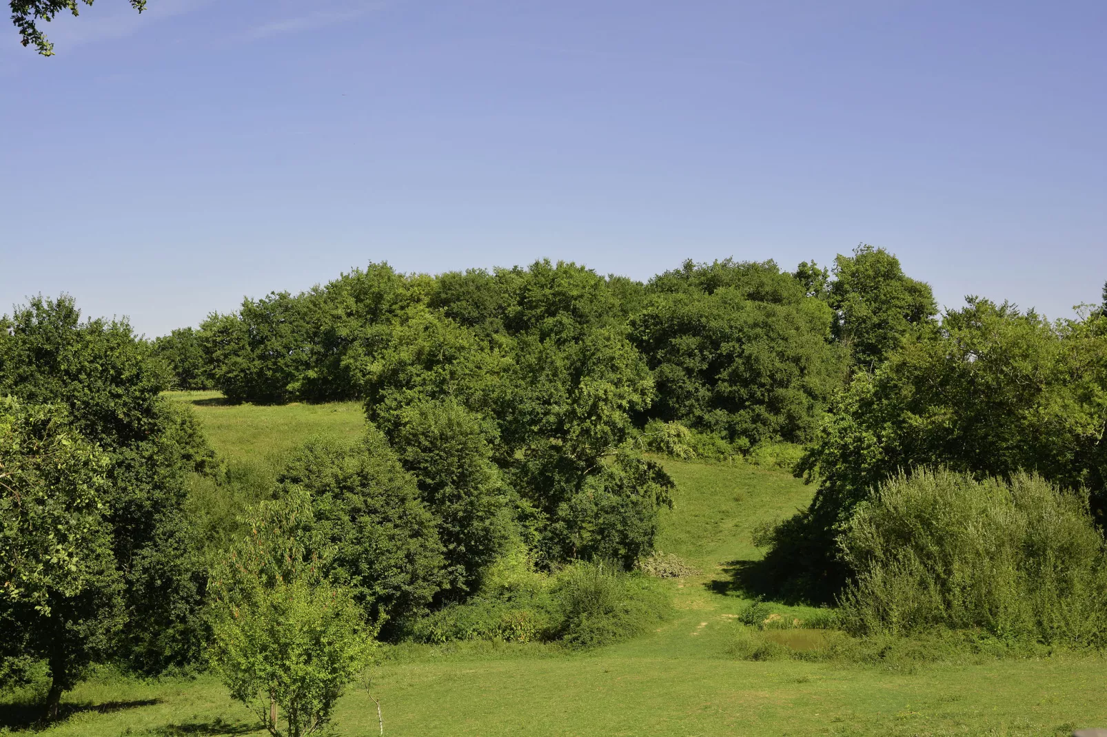 Familly Villa Gers-Jardin d'été