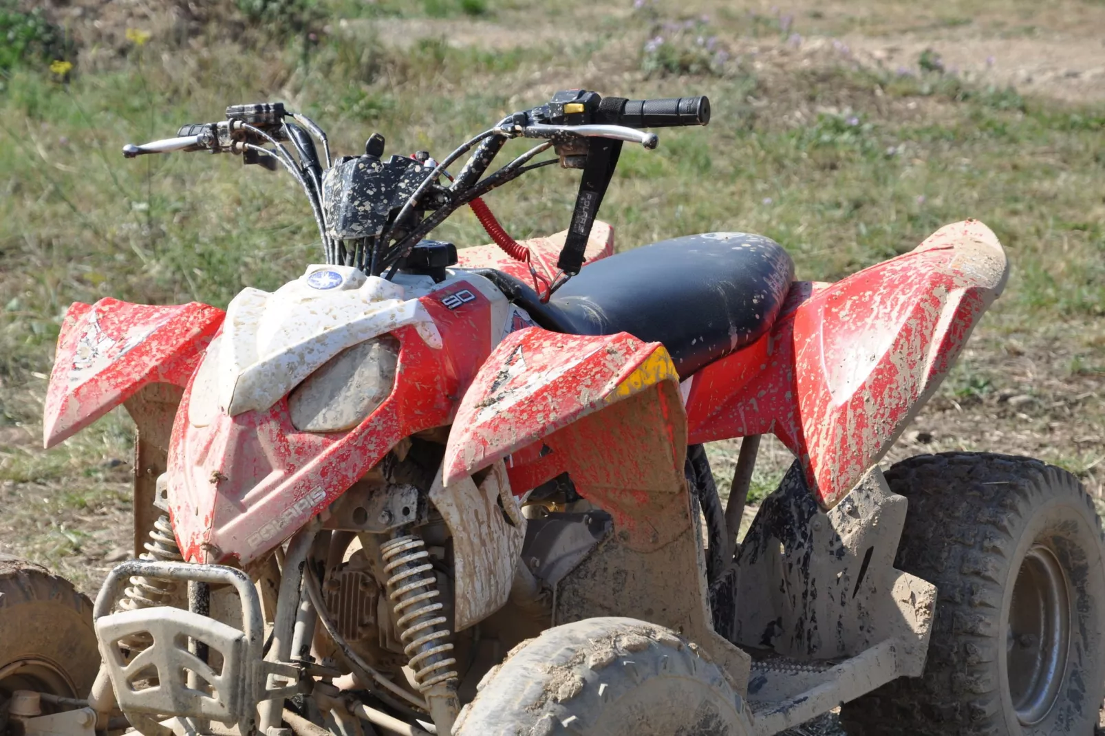 Villa Le Houga-Ambiente