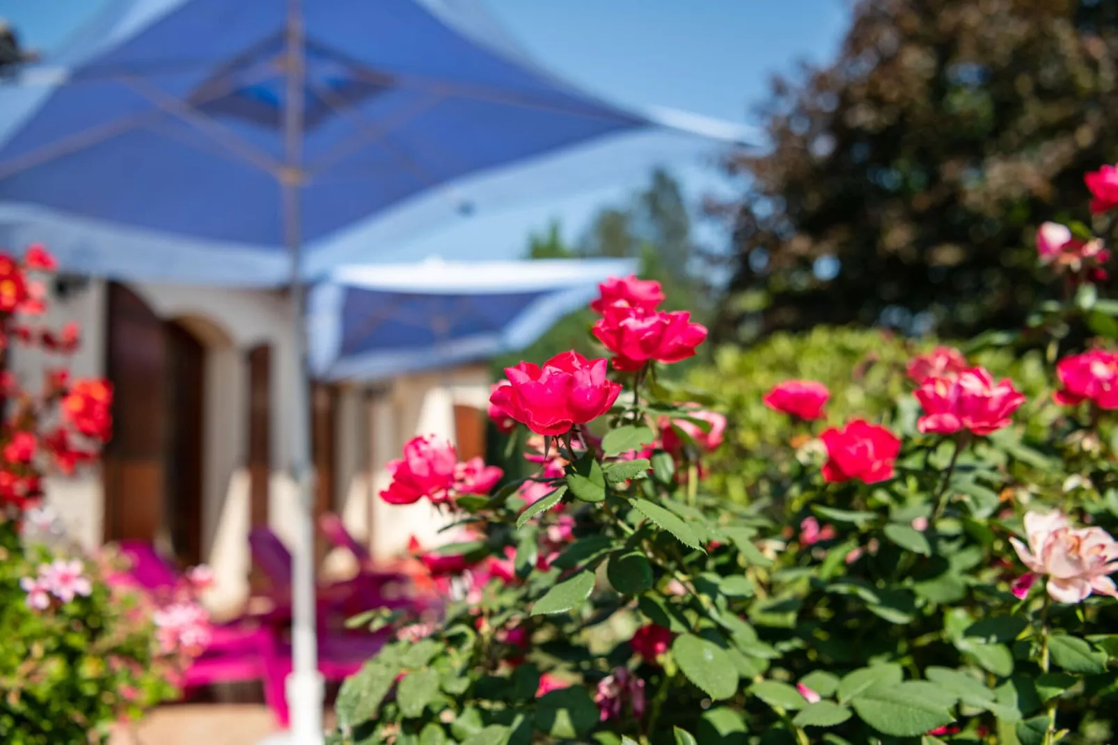 Villa Pineuilh près de Dordogne-Ambiance