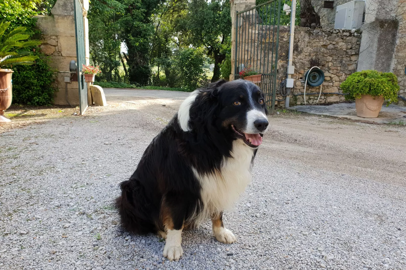 Loft-Gardens in summer