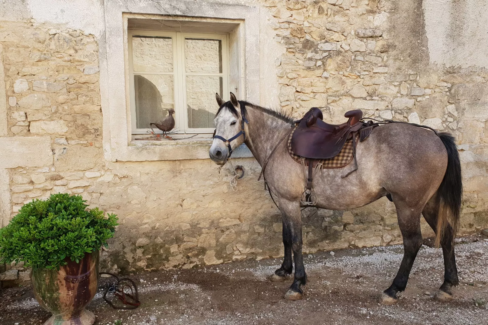 Loft-Gardens in summer