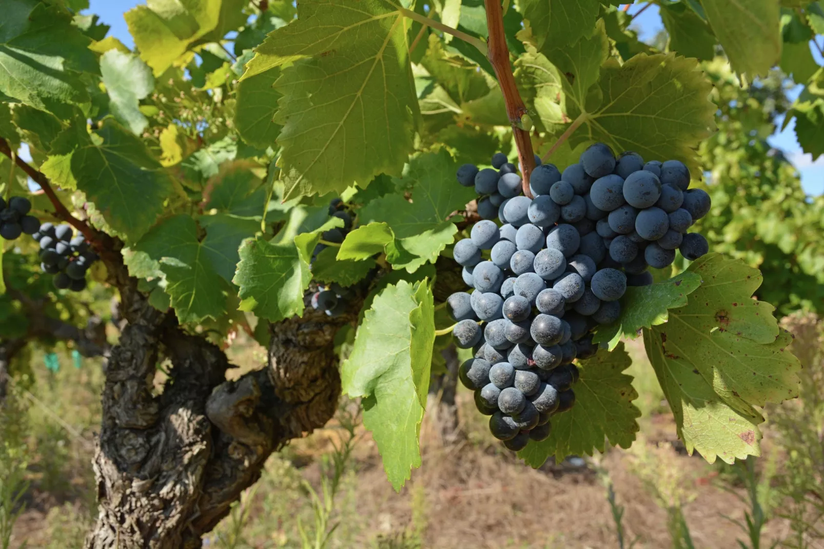 Loft-Areas within 1km in summer