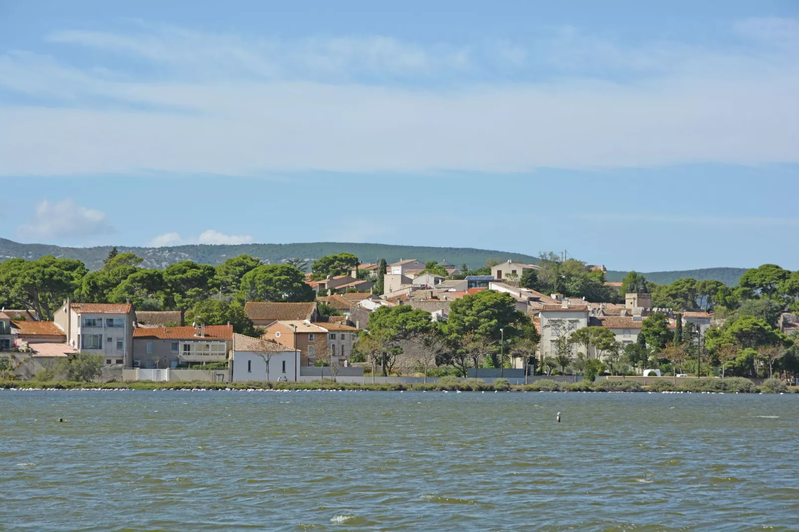 Loft-Areas within 20km in summer