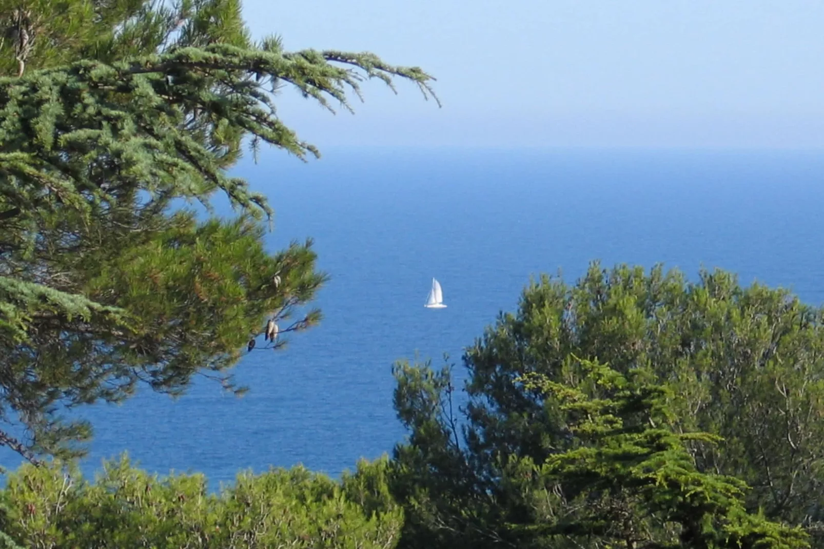 Les Pescalunes 1-Areas summer 5km