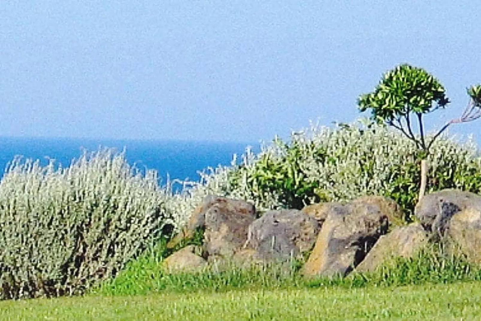 Les Pescalunes 2-Areas summer 1km