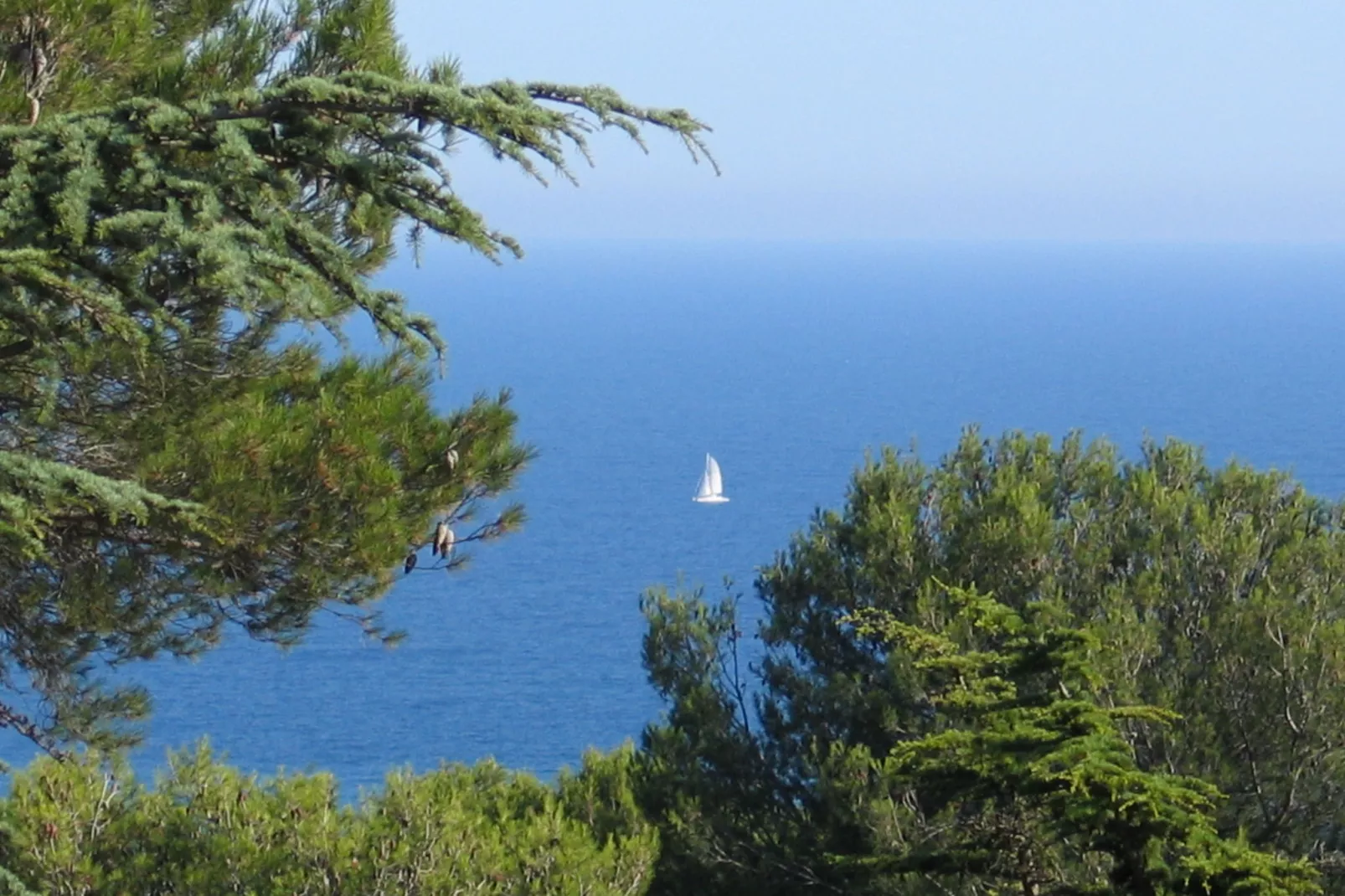 Les Pescalunes 2-Areas summer 5km