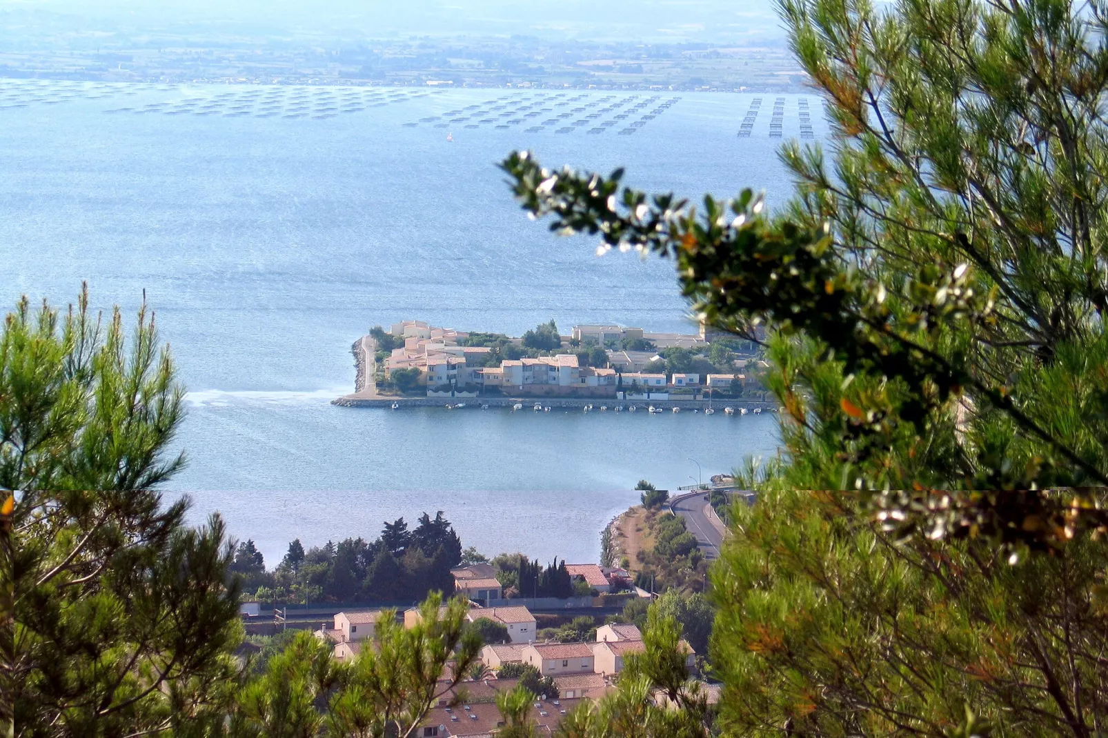 Les Pescalunes 2-Areas summer 5km