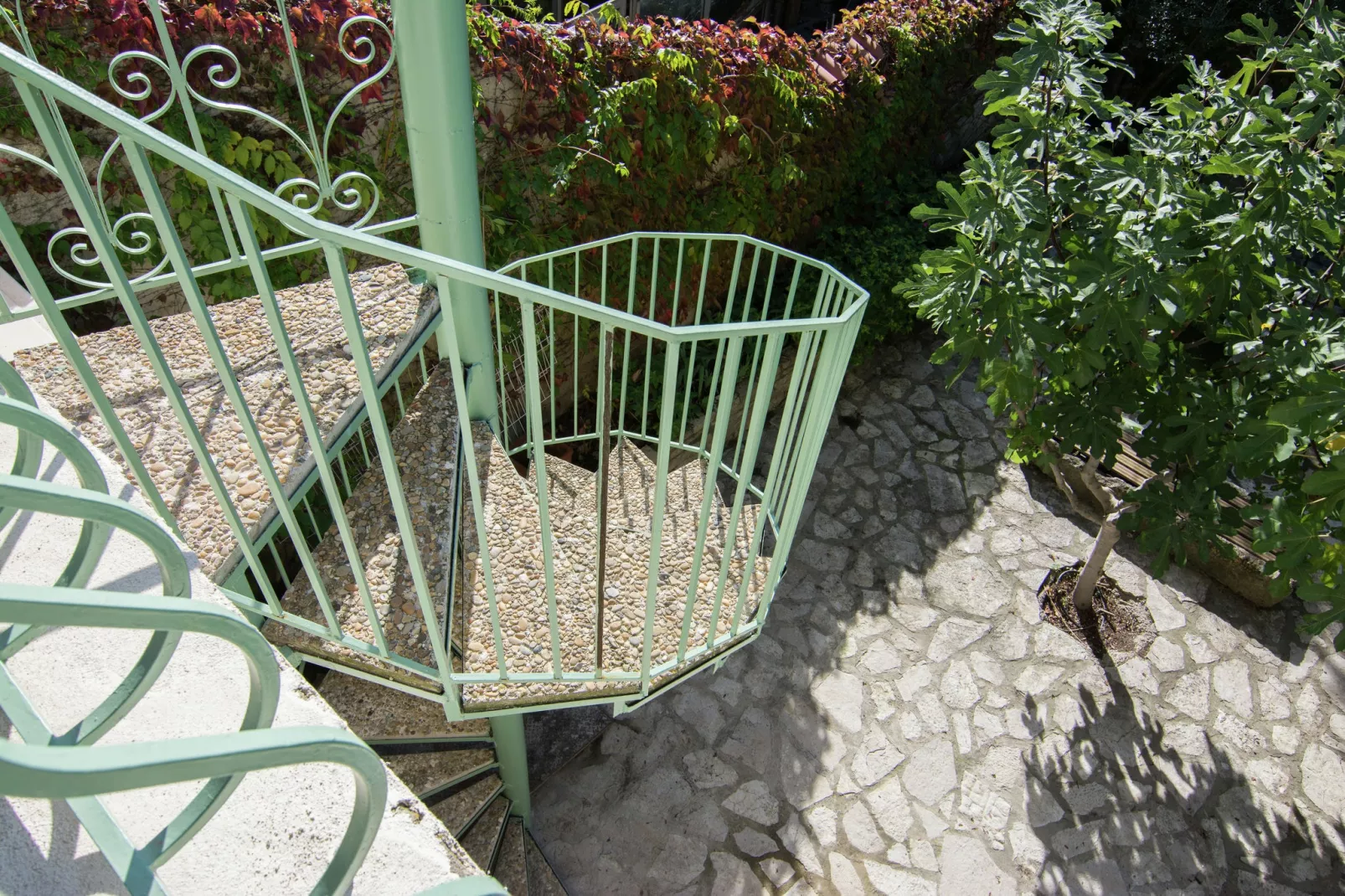 Au coeur du Languedoc-Gardens summer