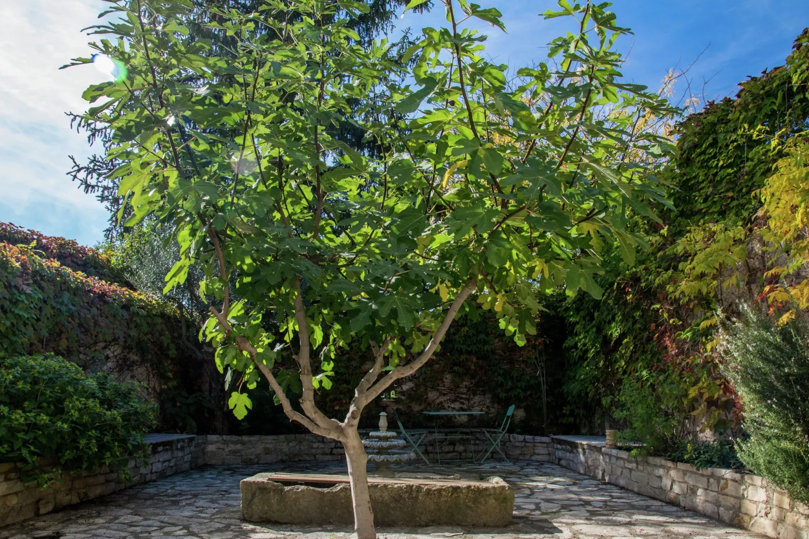 Au coeur du Languedoc-Gardens summer