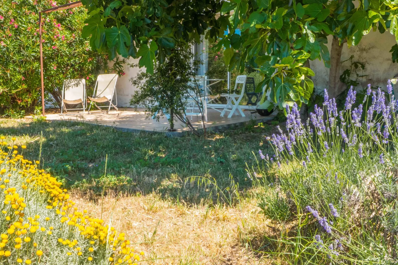 Maison de vacances - MURVIEL-LES-BEZIERS-Außenbereich Sommer