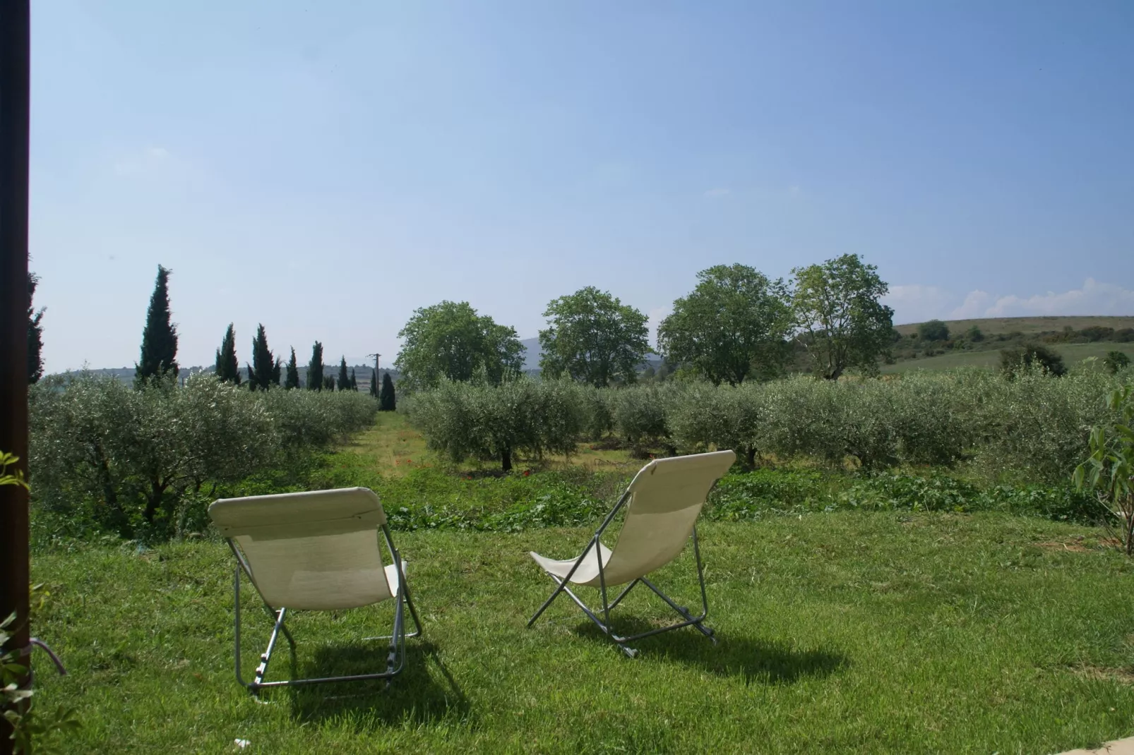 Maison de vacances - MURVIEL-LES-BEZIERS-Gärten Sommer
