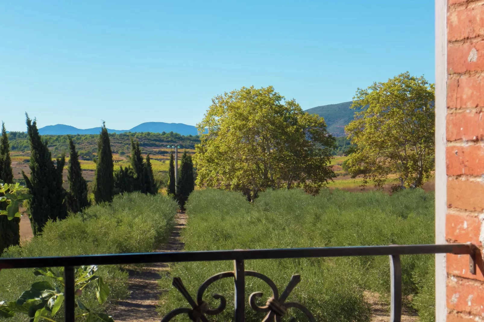Maison de vacances - MURVIEL-LES-BEZIERS-Gärten Sommer