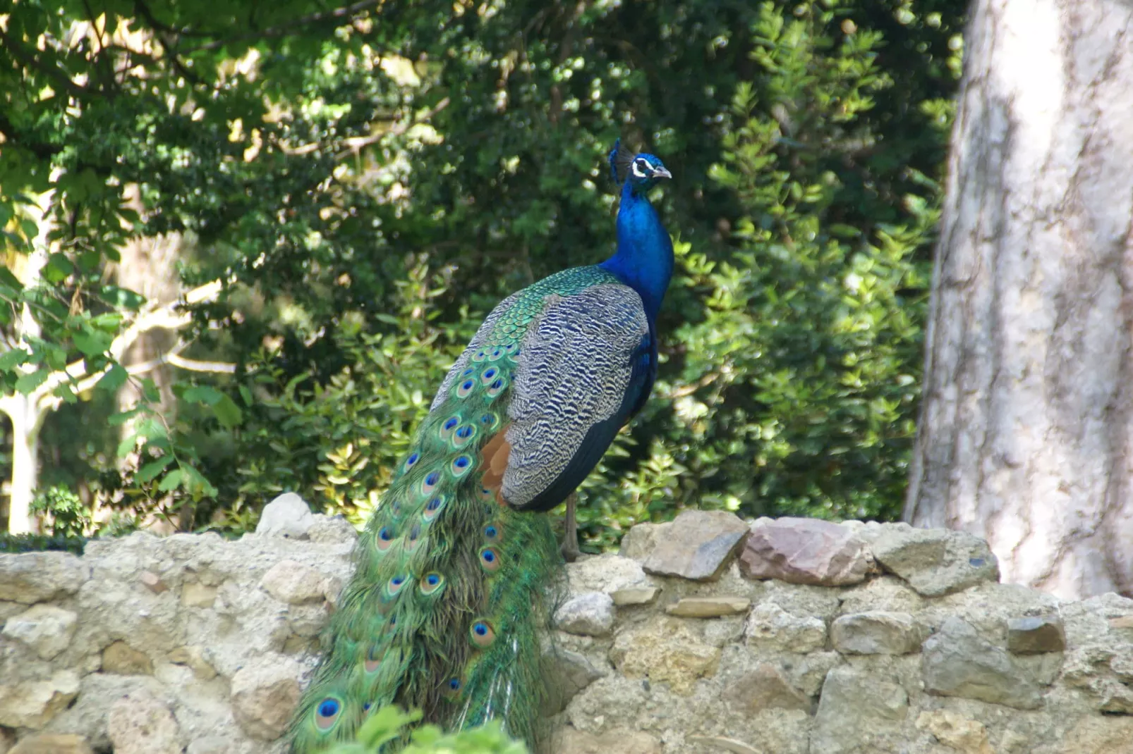 Maison de vacances - MURVIEL-LES-BEZIERS-Gebiete Sommer 5 km