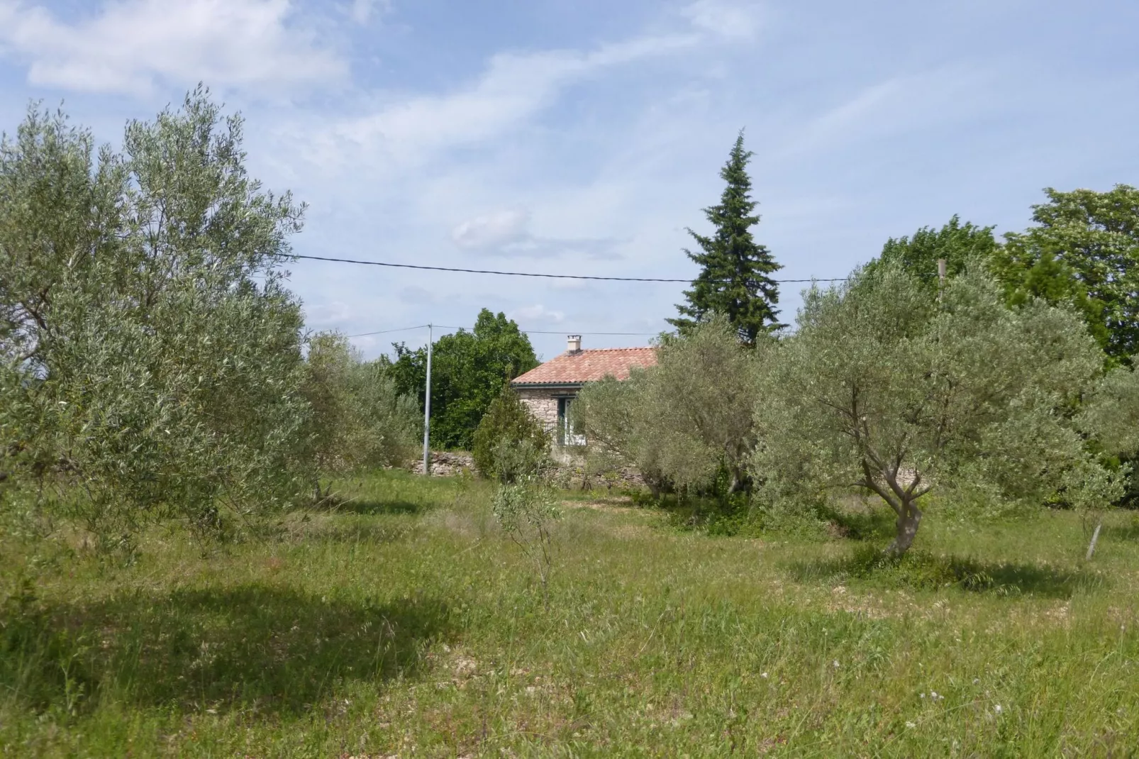 Ferienhaus in Villemagne-l'Argentière-Outdoor