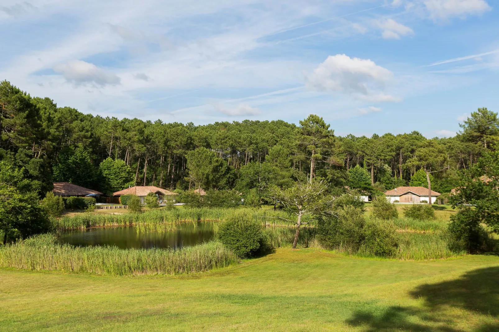 Villas Clairière aux Chevreuils 3-Areas summer 5km