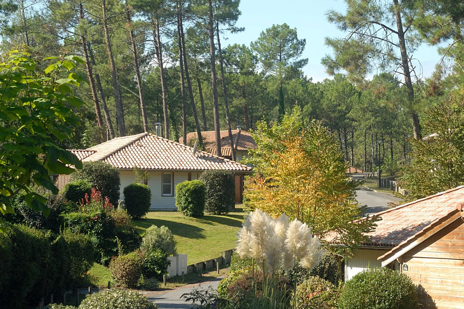 Villas Clairière aux Chevreuils 2-Areas summer 1km