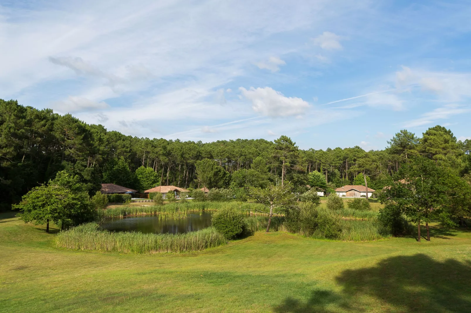 Villas Clairière aux Chevreuils 2-Areas summer 1km