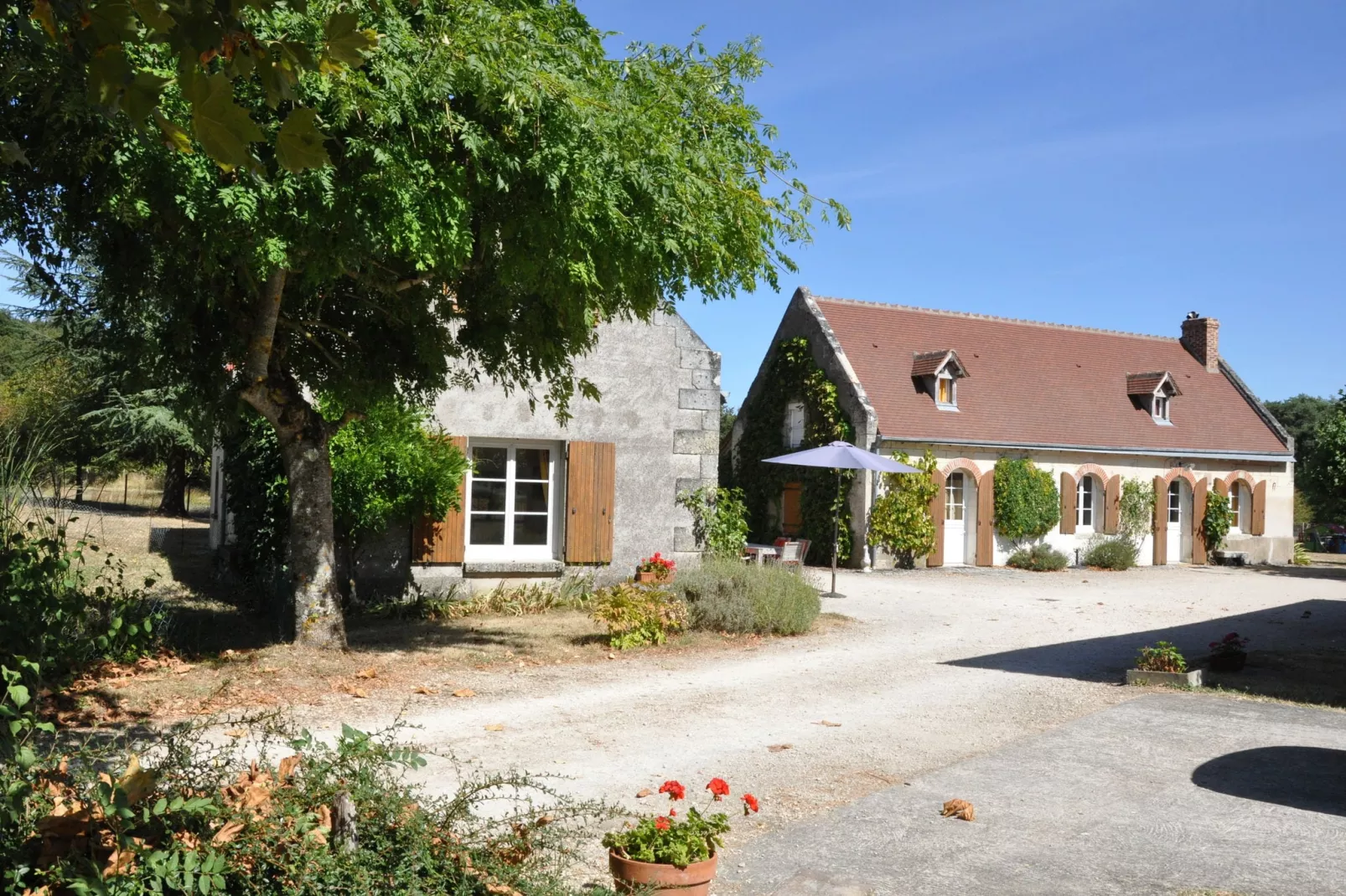La Ferme les Drageonnières-Exterior summer