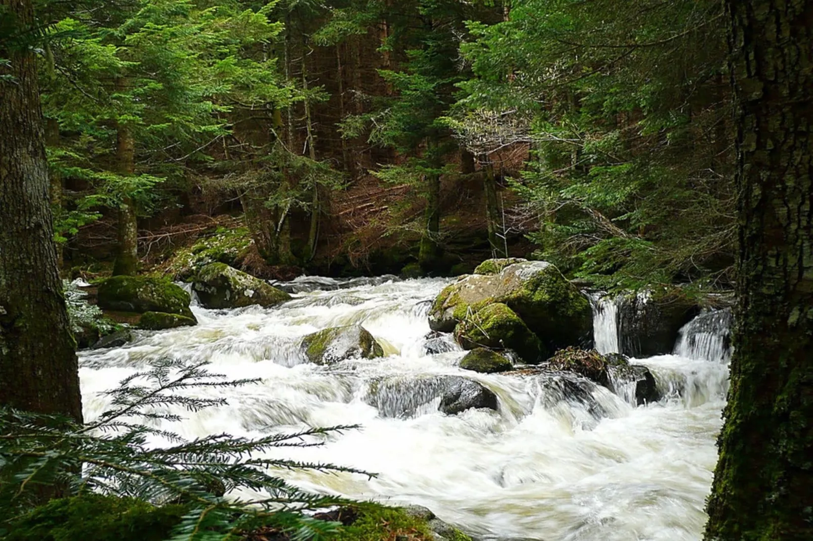 Gite -   SAUVAIN-Areas summer 5km