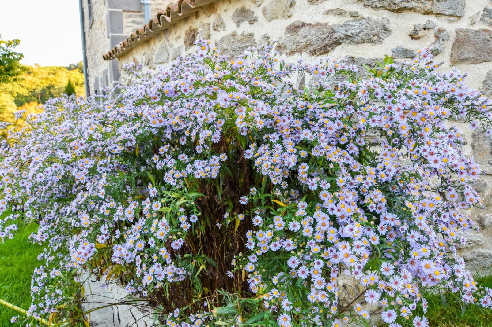 Maison à la campagne-Gardens summer