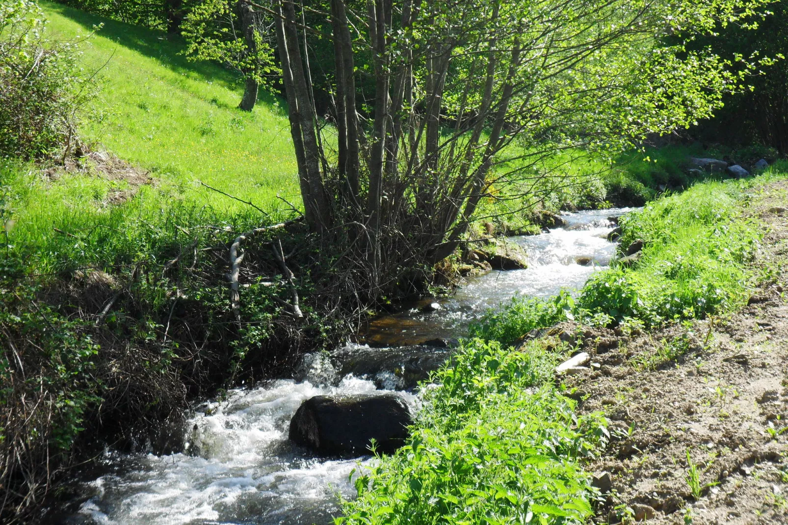 Gite du Pradal-Areas summer 1km