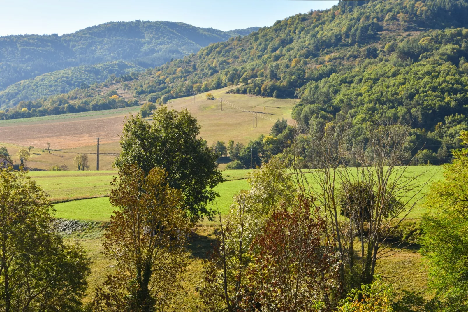 Rougeac-Areas summer 1km