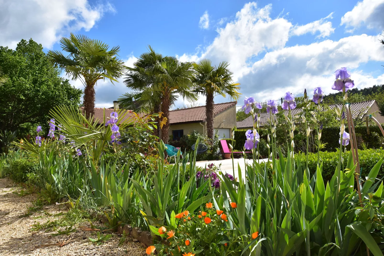 Maison de vacances Espere - Gardens in summer